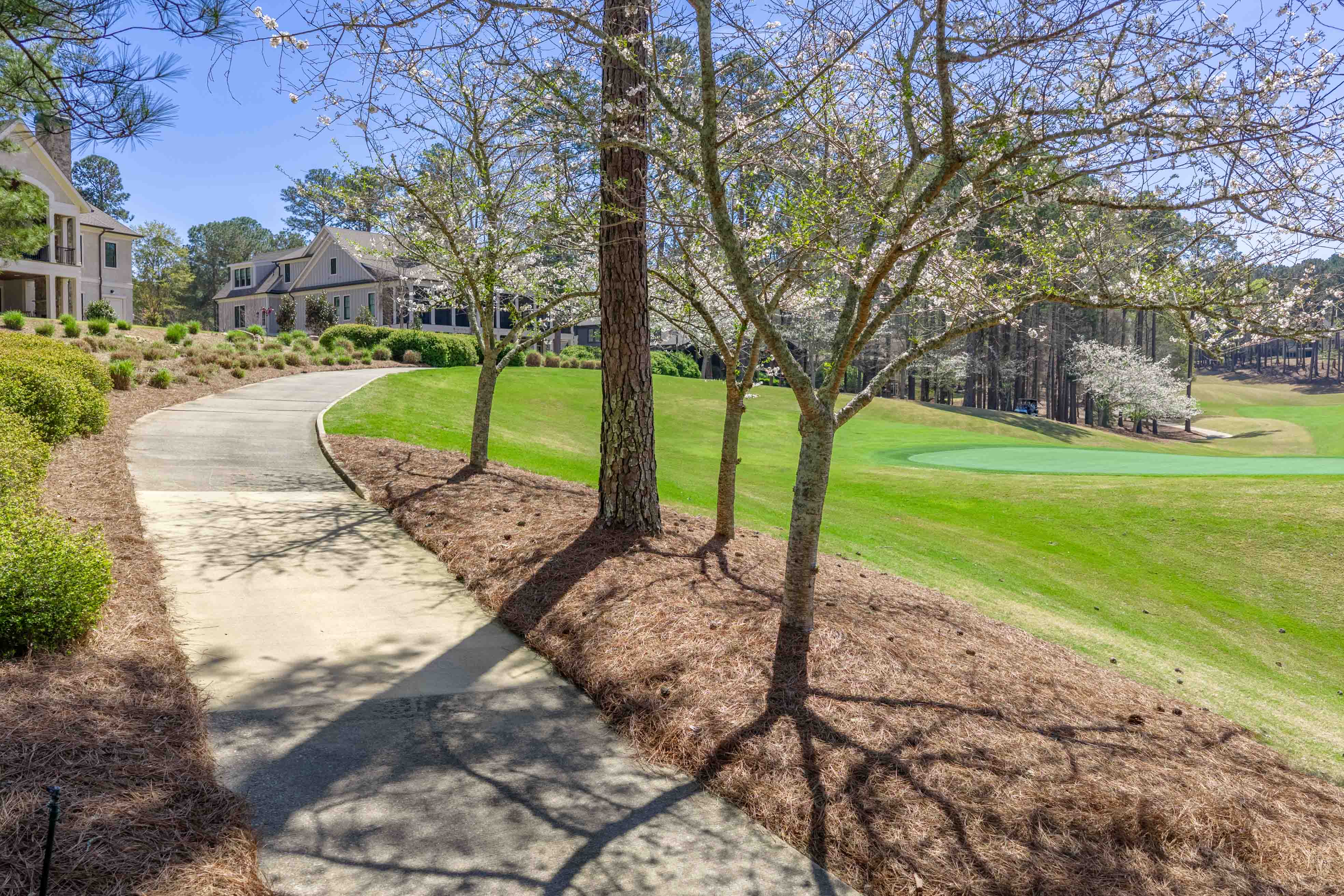 1100 Fox Bend image 62